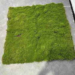 Simulated Belly Plant Landscape Photography Bonsai Environmental Decoration Artificial Turf Flocking Moss Green Plant Moss Carpet