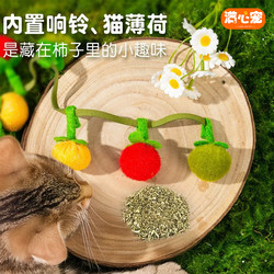 Cat Toy Teaser Stick, Bite-Resistant Cat Toy, Self-Entertainment Gadget with Bell, Durable Cat Toy, Cat Supplies