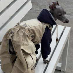 Snuggsoul｜ Original Pet Washable Workwear Overalls with Detachable Butt Flap Pants for Small Greyhounds and Whippets with Four Legs
