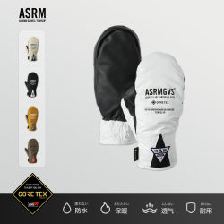 ASRM Ski Gloves EVEN Park GTX