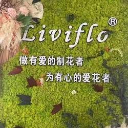 Flower Home Office Artificial Immortal Plant Decoration Wall Micro Landscape Green Plants Immortal Moss Board