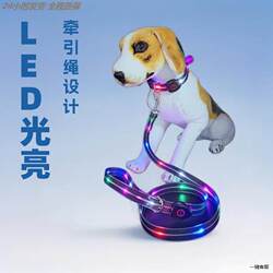 Cat Collar Anti-Lost Leash Custom Dog Neckband Small Dog Reflective Luminous Dog Collar