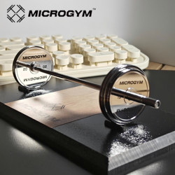 Stainless Steel Barbell Desktop Ornament, Fitness Gift for Boys and Girls, Miniature Fitness Model