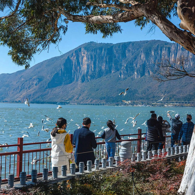 全国出发昆明一地3日自由行