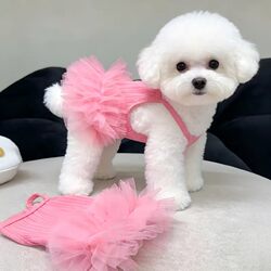 Pet Princess Dress Dog Clothes Summer Thin Strap Dress Teddy Bichon Birthday Tutu Dress Mesh Dress