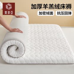 Sofia Winter Soft Mattress Cover for Home Bedroom, Lamb Fleece Mattress Pad, Thickened Warm Pad, Bedding