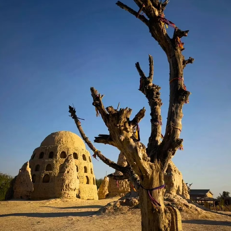 汽车出发银川3天2晚自由行