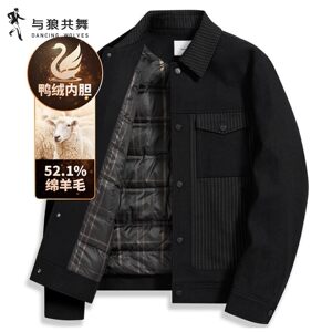 
[90 Duck Down] Dances with Wolves Lapel Down Jacket Men's 2025 Autumn and Winter New Warm Thick Casual Jacket