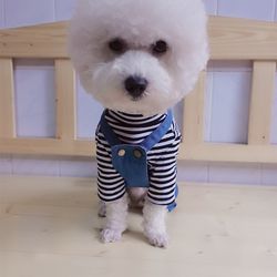 Pet overalls paper pet clothing drawings Teddy Bichon French Dou Schnauzer two-legged pants cutting template