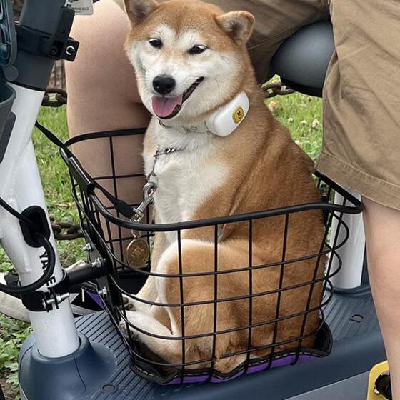 
Electric car basket front-mounted dog and cat pet universal seat basket foot pedal storage basket large capacity storage creative