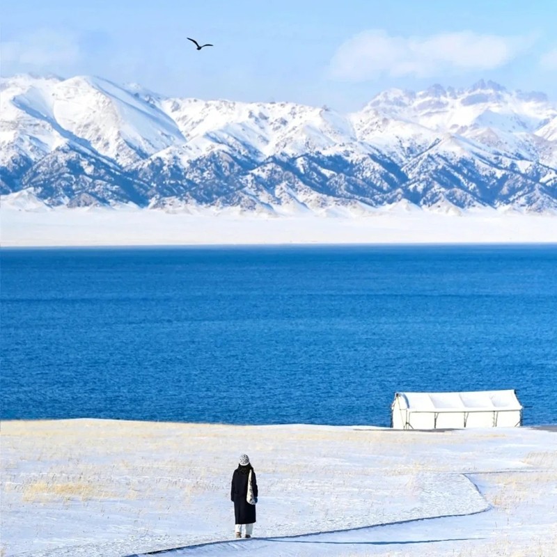 6人纯玩小团 含机票 新疆旅游喀纳斯禾木伊犁那拉提10天9晚跟团游