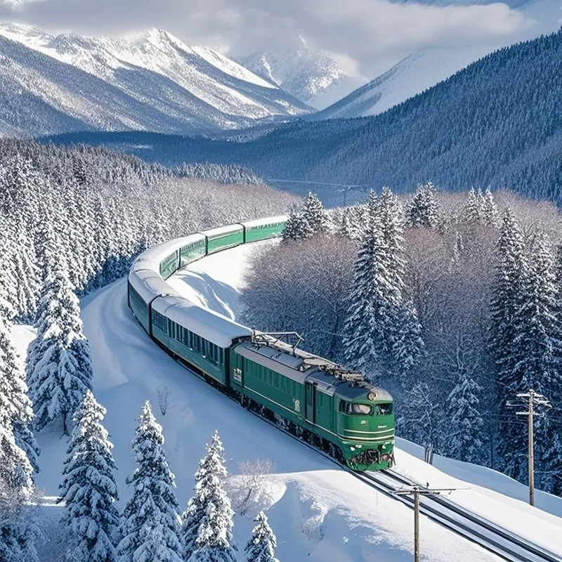 【纯玩含机票】东北旅游哈尔滨漠河北极村俄罗斯小镇6天5晚跟团游