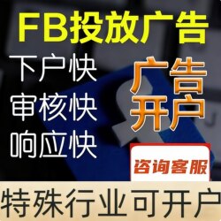 Facebook Advertising Account Setup, Tiktok Boosting, Homepage Promotion, Unlimited Traffic for Businesses, Independent Site Support, and International Expansion