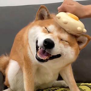 
Dog comb, cat massage comb, pet one-click hair removal needle comb, cleaning, beauty and hair removal comb, pet supplies