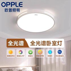 Op Lighting Led Ceiling Light Rectangular Ultra-Thin Modern Minimalist Bedroom Light Dining Room Light Living Room Light Package Light