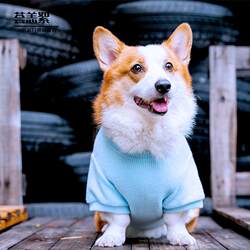 2023 Spring, Autumn, and Winter Pet Corgi, Border Collie, Shiba Inu, Medium-Sized Dog, Puppy Ribbed T-Shirt Sweatshirt Clothing for Large Dogs