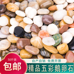 25kg Polished Premium Colorful Raindrop Stones, Multicolored Pebbles for Garden Paving, Aquarium Landscaping, Soft Stones, Small Stones