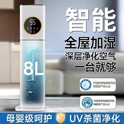 2026 New Model Humidifier for Living Room, Large Spray, Suitable for Pregnant Women and Infants, Home Use, Silent, Bedroom, Smart Air Purifier All-In-One