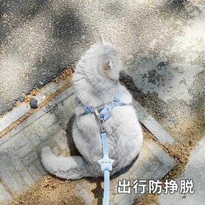 
Cat and dog traction rope traction adjustment breakaway rope vest special cute outing harness pet supplies