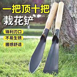 Thickened Outdoor Tool for Digging Wild Vegetables, Small Shovel for Digging Watercress and Garlic, Gardening Iron Shovel for Planting Flowers, Digging Soil, and Weeding