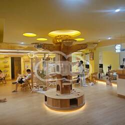 Qikodo Cat Climbing Frame, Scratching Post, Cat Tree, Cat Scratching Board, Cat Jumping Platform, Cat Toys and Supplies, Solid Wood Storage Rack, Multi-Layer Rack