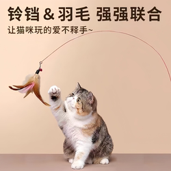 Cat Teaser Wand Toy, Self-Entertainment Toy, Long Rod with Steel Wire, Feathers, Small Bell, Bite-Resistant, Kitten Pet Supplies
