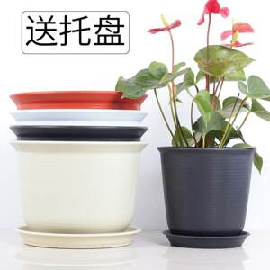 
Imitation ceramic pots, thickened resin plastic pots, balcony creative succulent potted plants, large flower pots, home organization tools