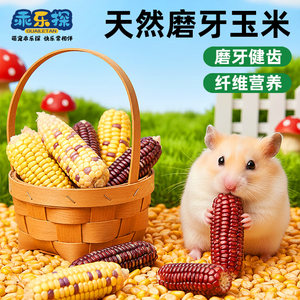 
Guoletan hamster molar stick, small corn grain, nutritious snacks, golden bear special products, dwarf teeth strengthening and boredom relief