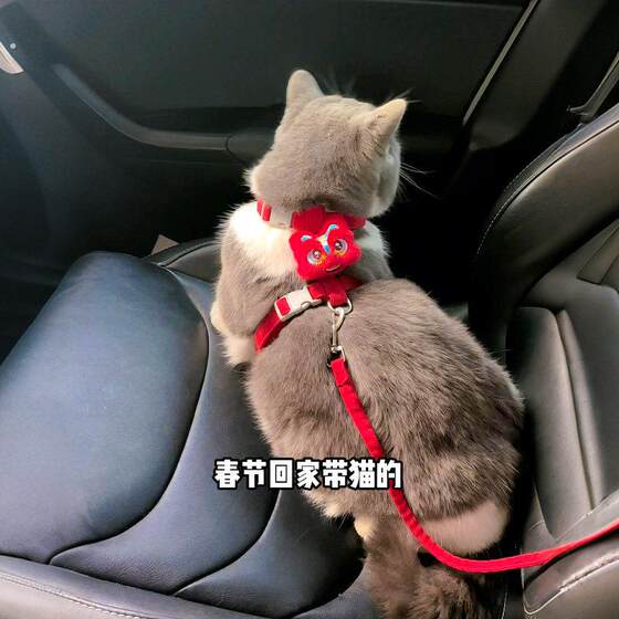 
New Year's cat walking rope, Chinese style lion awakening, special collar to prevent breaking away and going out, New Year's festive harness, pet supplies
