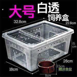 Silkworm Baby Feeding Box Pet Box Breeding Warehouse Silkworm Villa Branch Feeding Box Feeding Tool Supplies Science Class Set
