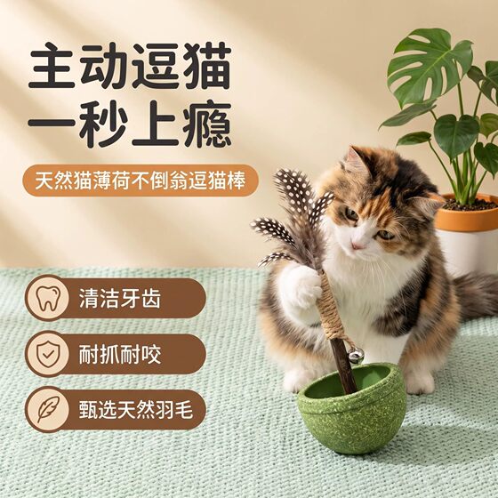 
Catnip Feather Tumbler Cat Toy Self-Happiness and Boredom Relief Artifact Funny Cat Stick Kitten Toy Wooden Polygonum Teeth Molar Stick