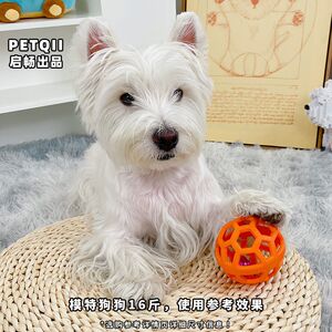 
Dog toy ball puppy bite and sound pet cat self-sexual artifact puppy teeth cleaning teeth schnauzer