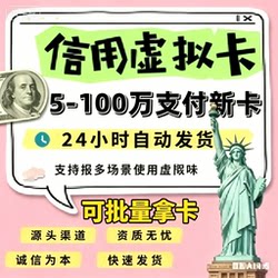 Virtual American Payment Card, Amazon Monthly Subscription, Hong Kong and Europe Virtual Payment Card, Subscription Binding, Consumption Card Binding