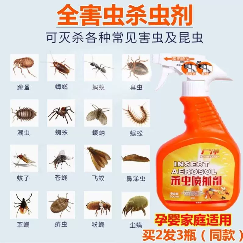 厕所里下水道杀虫剂强力蛆虫蛾蠓黑色有小飞虫厨房