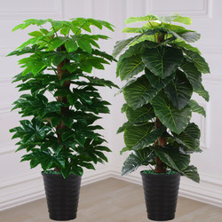 Simulated Green Plants, Large Potted Plants, Floor-Standing in the Living Room and Office, Money Tree, Fortune-Attracting Plastic Flowers, Fake Florals