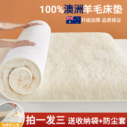 Pure Lamb Wool Mattress Autumn and Winter Dormitory Student Bed Sheet Fleece Blanket Thickened Winter Cashmere Blanket Mattress 180X200