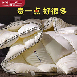 Feather Velvet Quilt, Winter Quilt, Thickened Warm Soybean Fiber Quilt Core, Single-Person, Suitable for All Seasons, Spring and Autumn Air-Conditioning Quilt