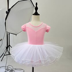 Children's Dance Practice Clothes Chinese Ballet Leotard Set Girls' Summer Short-Sleeved Gymnastics Suit Exam Dance Skirt