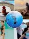 VALTOS racing professional swimsuit conservative meat-covering and backless small breasts gathering one-piece slim swimsuit special for swimming pool
