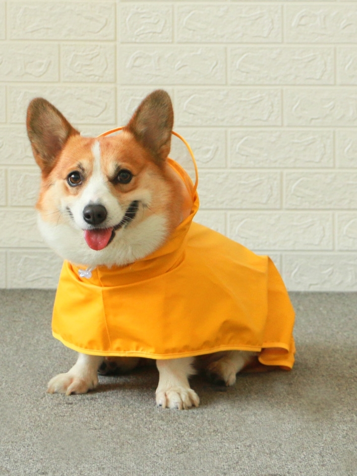 狗狗雨衣小型犬宠物用品泰迪柯基专用防水
