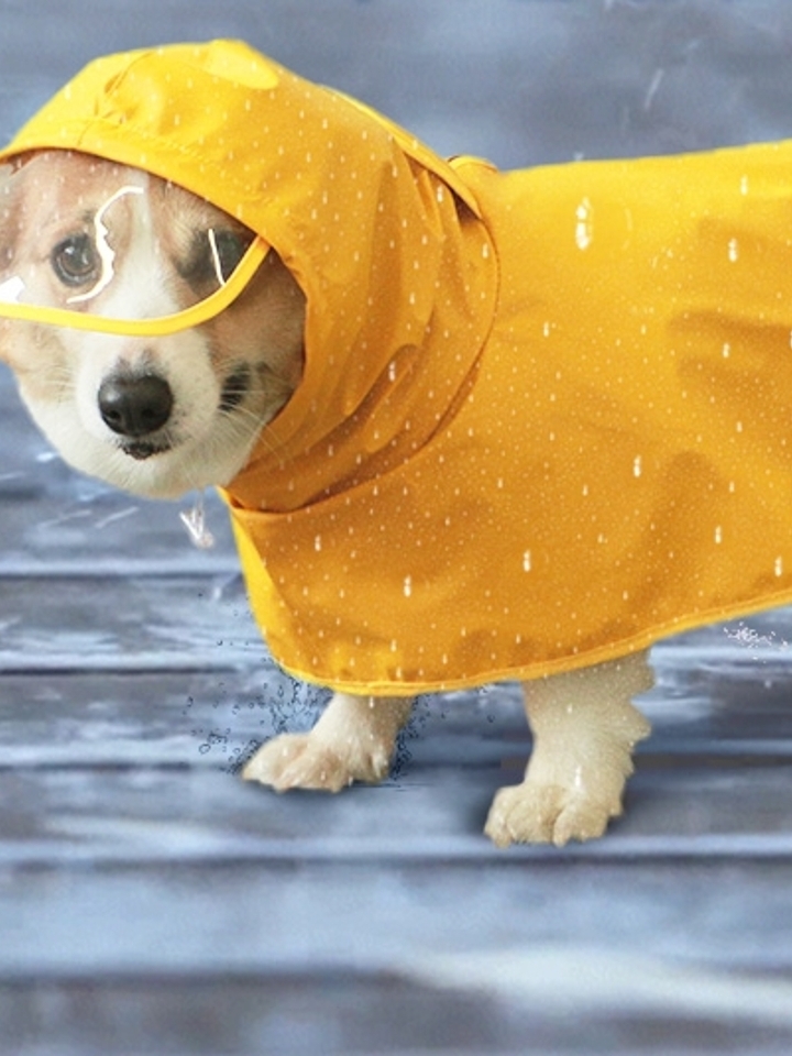 狗狗雨衣小型犬宠物用品泰迪柯基专用防水