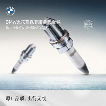 BMW original spark plug maintenance service