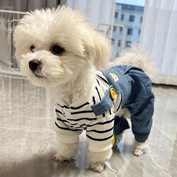 Dog Clothes for Spring and Summer, Thin Four-Legged Outfit with a Bear Design, Suitable for Small Dogs Like Teddy, Bichon, Schnauzer, and Puppies