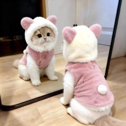 Cute Plush Hooded Sweatshirt for Cats, Winter Warm Clothing for Ragdoll, British Shorthair, Silver Gradient, and Pet Dogs, Thick Cotton Coat