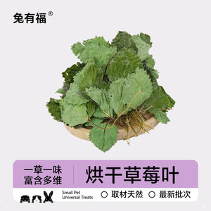 
Rabbit Blessed Season Limited Dry Rabbit Strawberry Leaves Strawberry Seedlings Totoro Guinea Pig Snacks Grass Auxiliary Grass