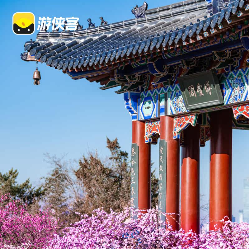 游侠客南京明孝陵2H专业讲解 走神道石象路 寻紫霞湖鹿苑2-10人团