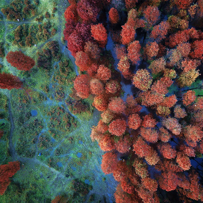 游侠客余姚四明湖燕窝古道一日跟团游新手入门徒步红杉林上海往返