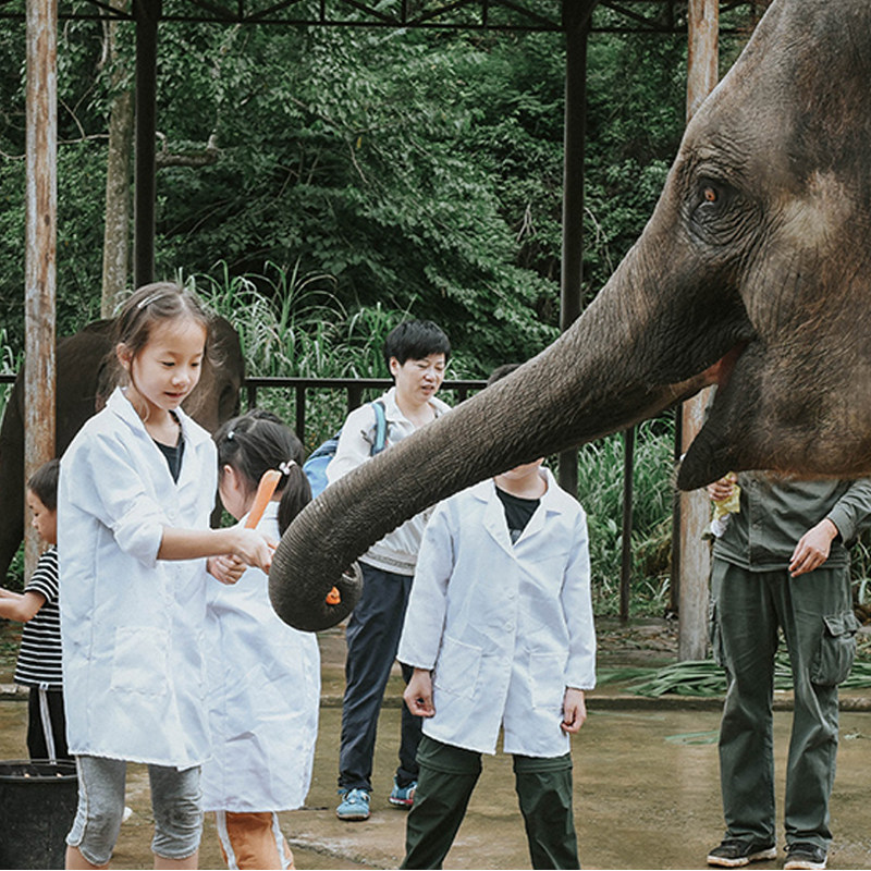 游侠客西双版纳亲子5日跟团旅游野象谷牧象傣族园泼水节雨林探险