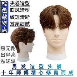 Real Hair Mannequin Head for Men, Model Head for Makeup Artist Styling Practice, Curling Iron, Hair Dryer Styling, Brown Style