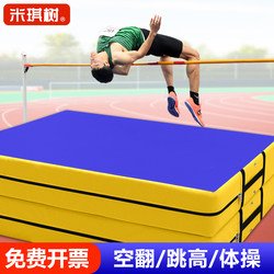 High Jump Mat, Somersault Sponge Mat, Gymnastics Mat, Foldable Sports Training Mat, Taekwondo Protective Mat, Rock Climbing Martial Arts Thickened Mat